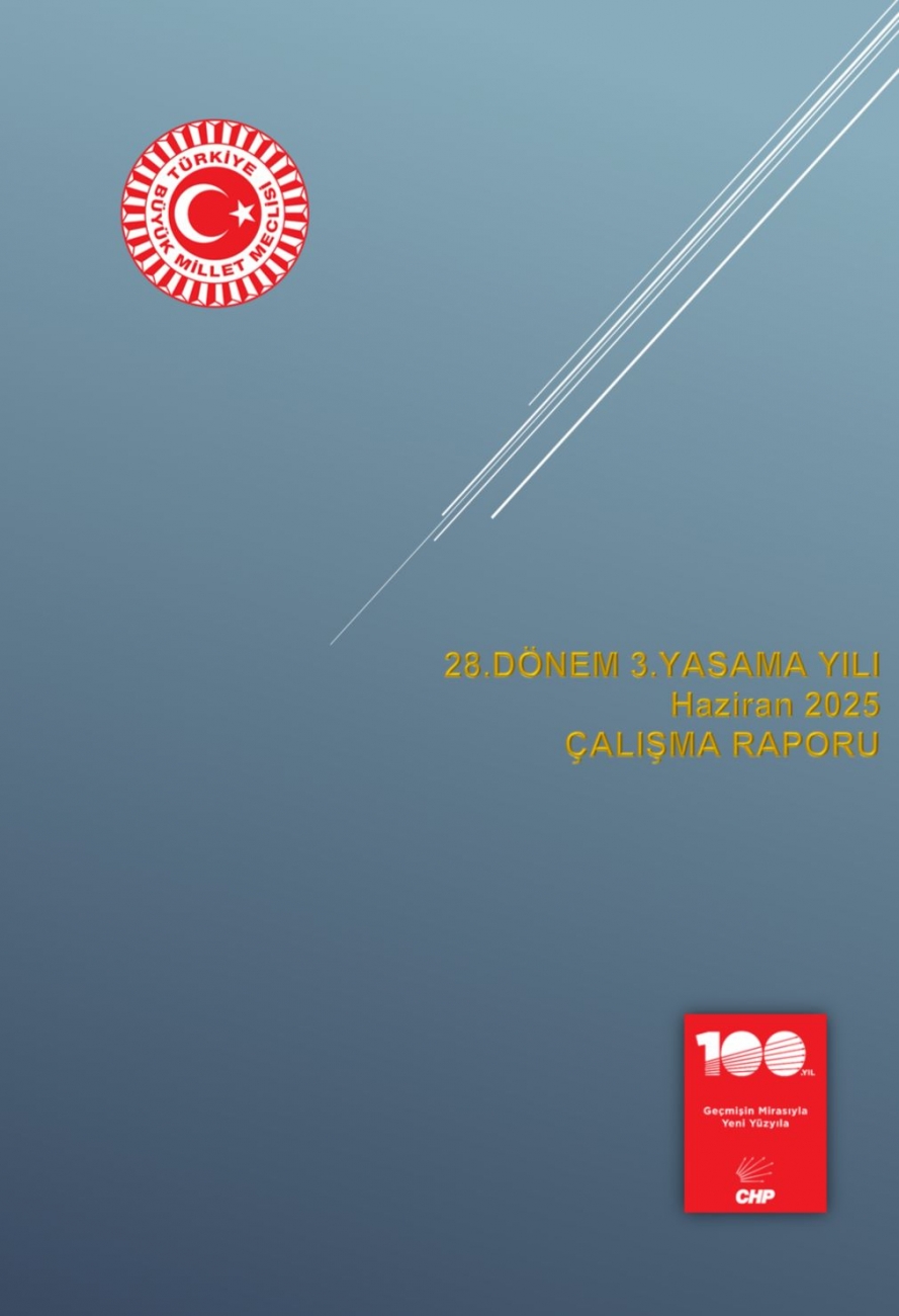 Türkiye Büyük Millet Meclisi 28.Dönem 3.yasama yılı Haziran ayı çalışma raporu